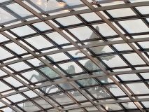IMG_3466.JPEG