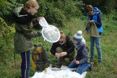 DSC09515-Insekten_fangen.JPG