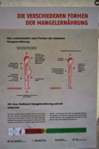 Formen_der_Mangelernhrung.JPG